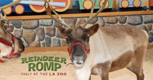 RR-Event-Page-Header